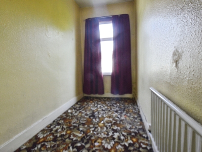 Picture 11